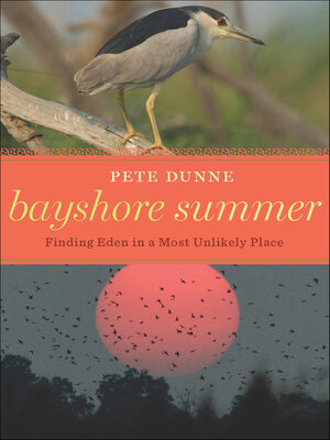 cover image of Bayshore Summer